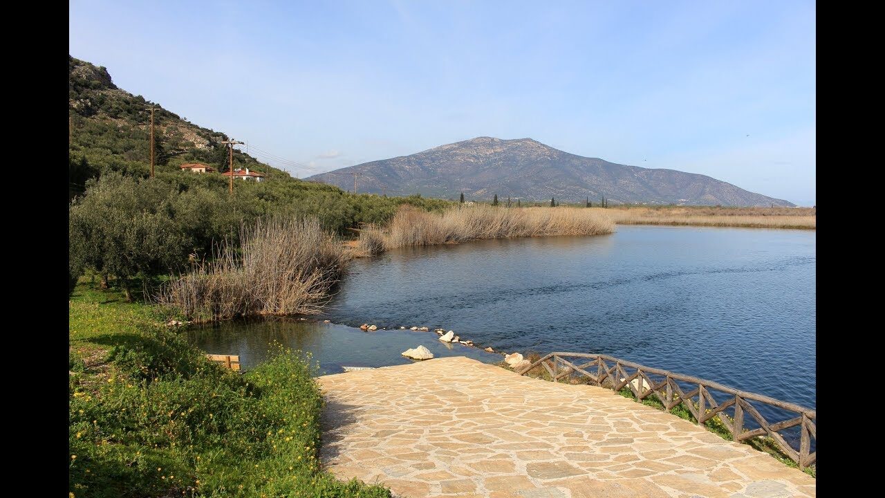 Υγρότοπος Μουστού